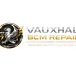 V LOGO